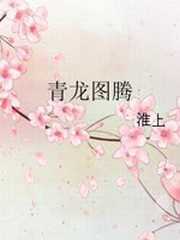 青龙图腾全文免费阅读