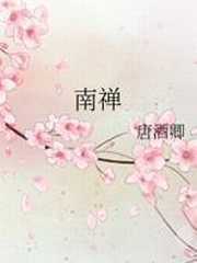 南禅全文免费阅读